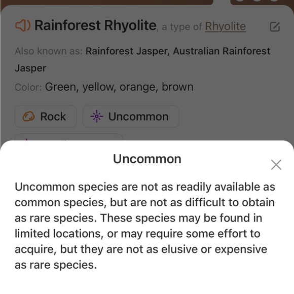 Rainforest Rhyolite earrings. Attracts positive change and connection to earth. - Picture 7 of 8